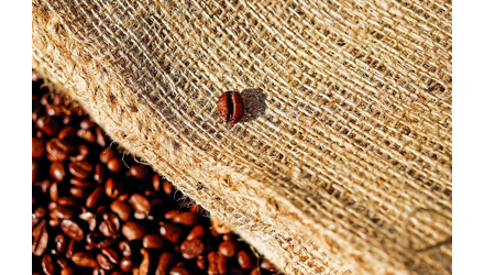 Koffeinmentes kávé: tényleg jobb? | Házipatika